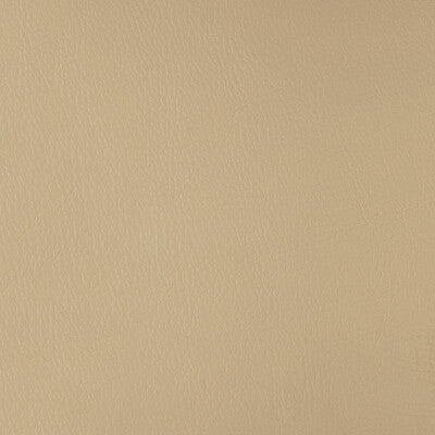 KRAVET DESIGN CHROME.121.0 KRAVET DESIGN CHROME-121 Fabric - FAUX LEATHER IV