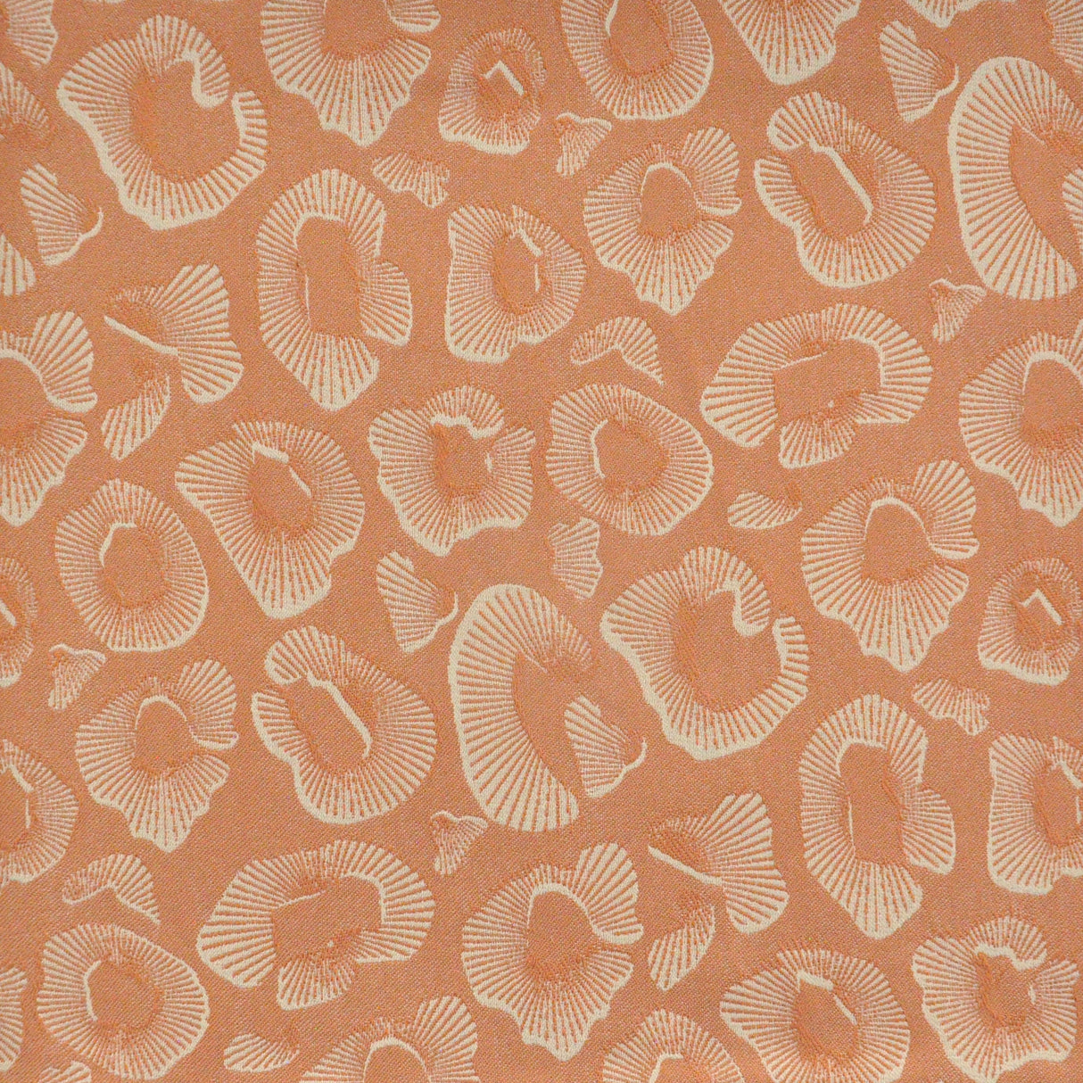 Eade’s # 919 PEACH