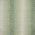 Eade’s # 353 ALOE