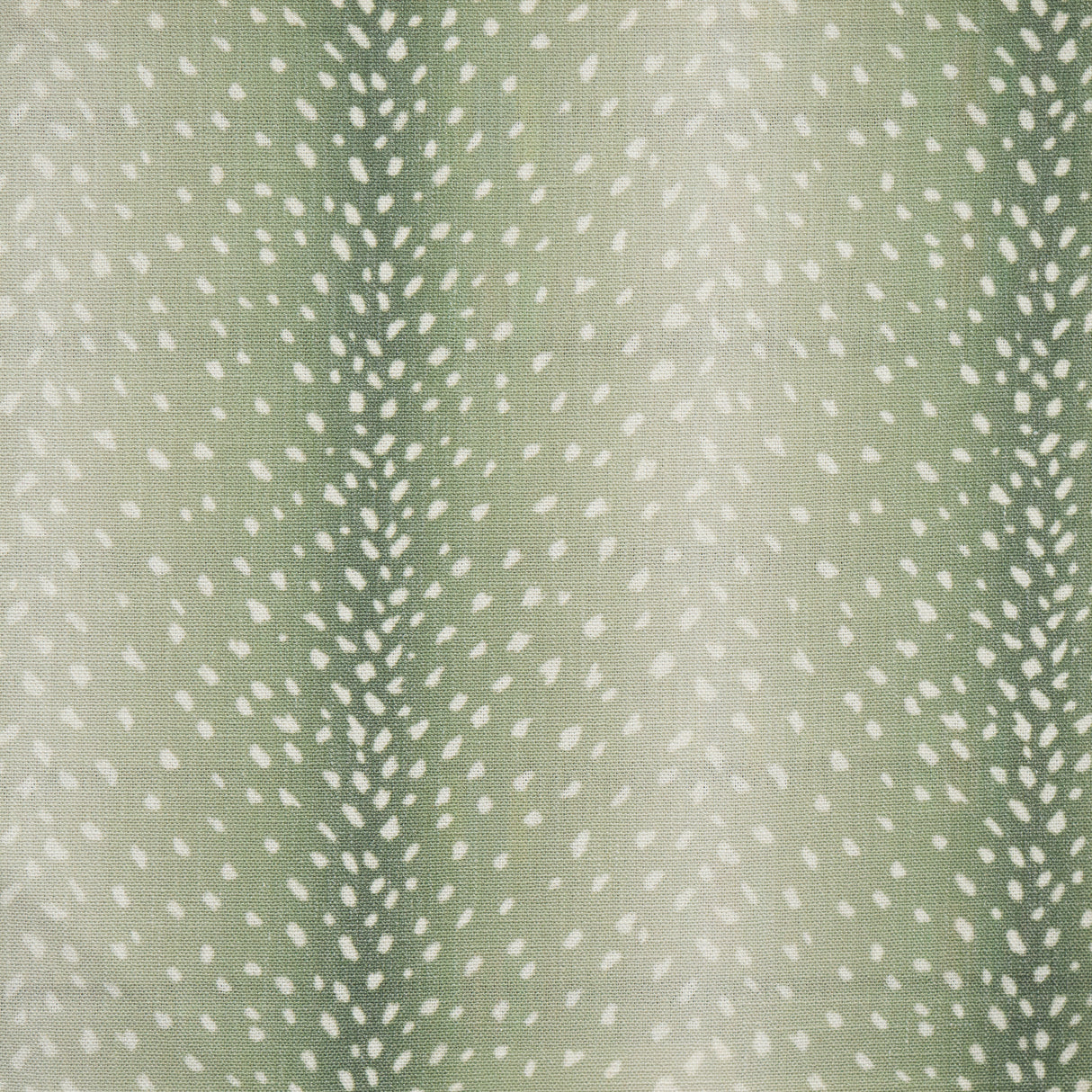 Eade’s # 353 ALOE