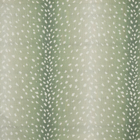 Eade’s # 353 ALOE