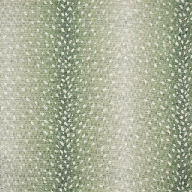 Eade’s # 353 ALOE