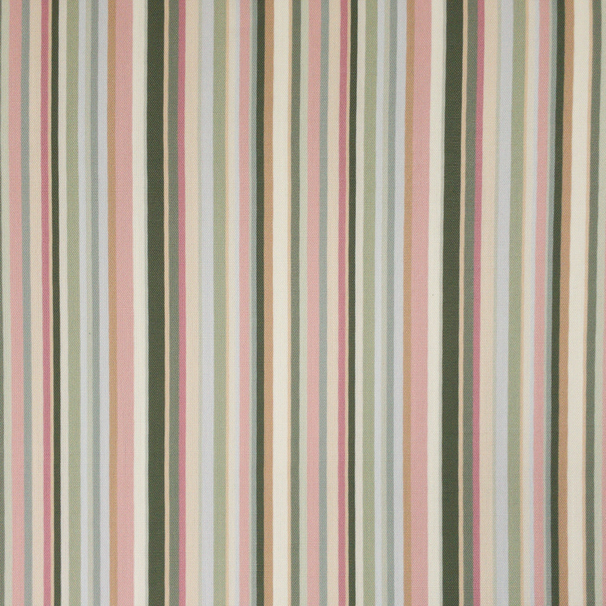 Eade's CLAN-1-sample OLIVE