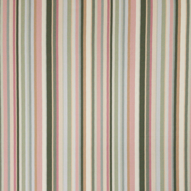 Eade's CLAN-1-sample OLIVE