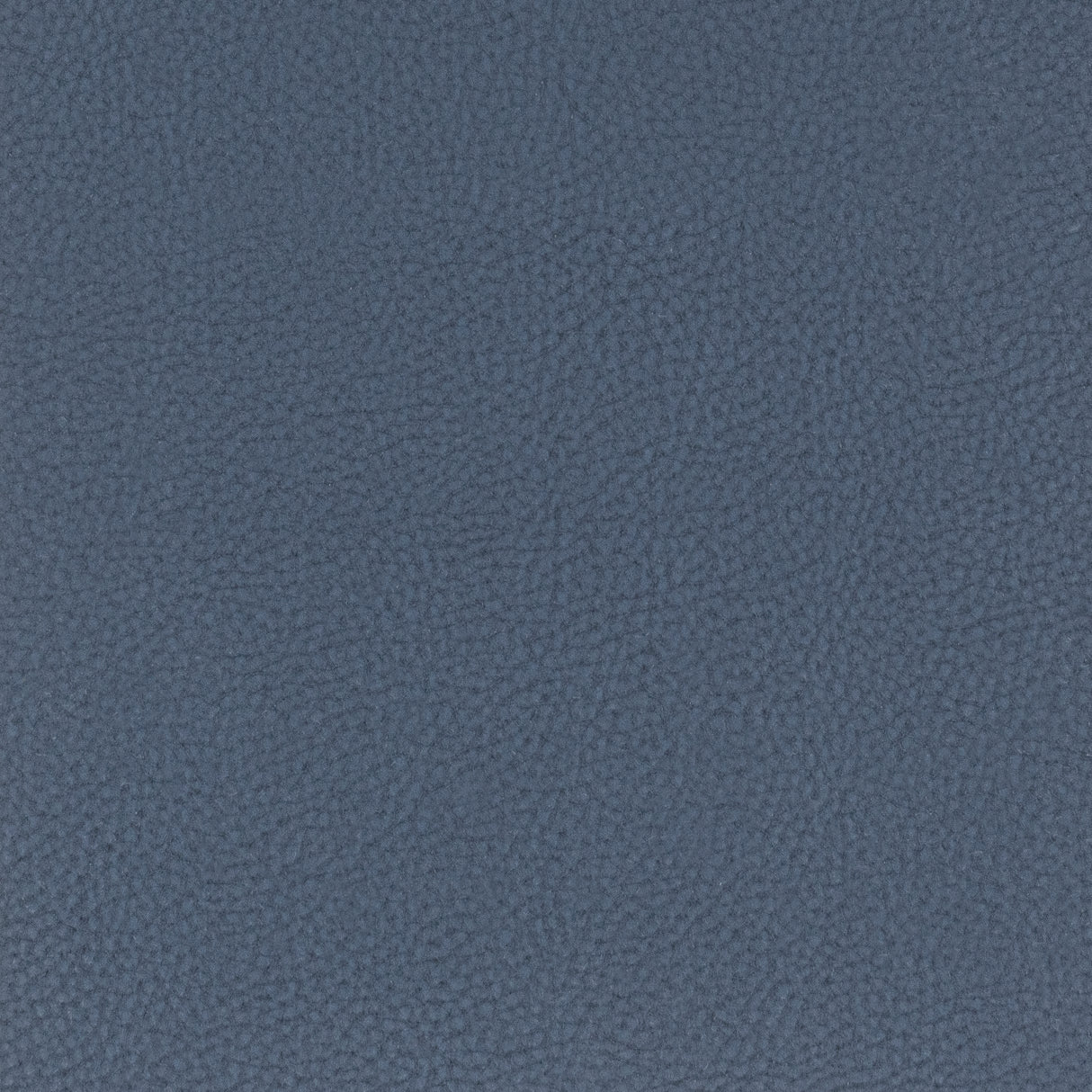 STOUT CLAS-1 CLASSIC 1 BLUEBERRY Fabric - Eades Wallpaper & Fabric