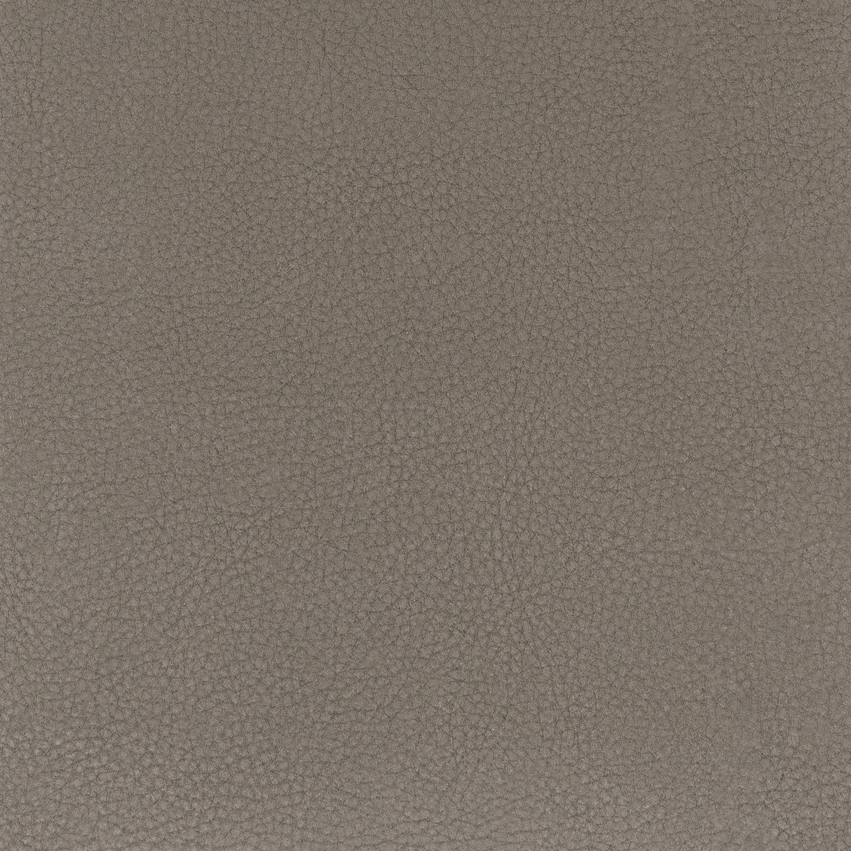 STOUT CLAS-4 CLASSIC 4 COCOA Fabric - Eades Wallpaper & Fabric