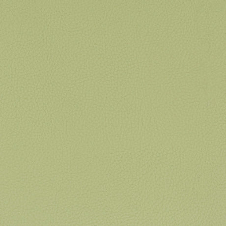 STOUT CLAS-8 CLASSIC 8 PISTACHIO Fabric - Eades Wallpaper & Fabric