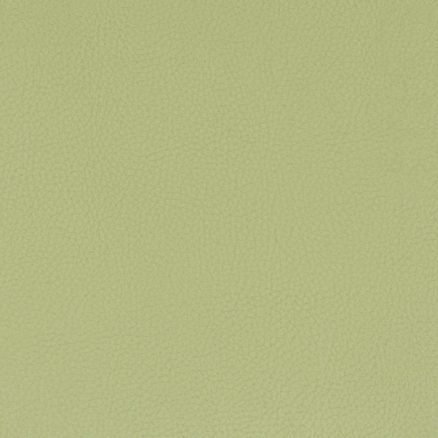 STOUT CLAS-8 CLASSIC 8 PISTACHIO Fabric - Eades Wallpaper & Fabric