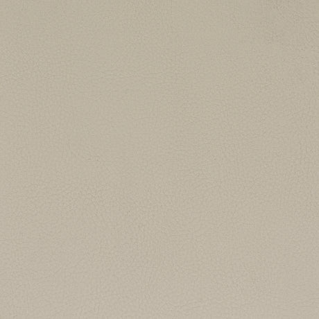STOUT CLAS-9 CLASSIC 9 PUTTY Fabric - Eades Wallpaper & Fabric