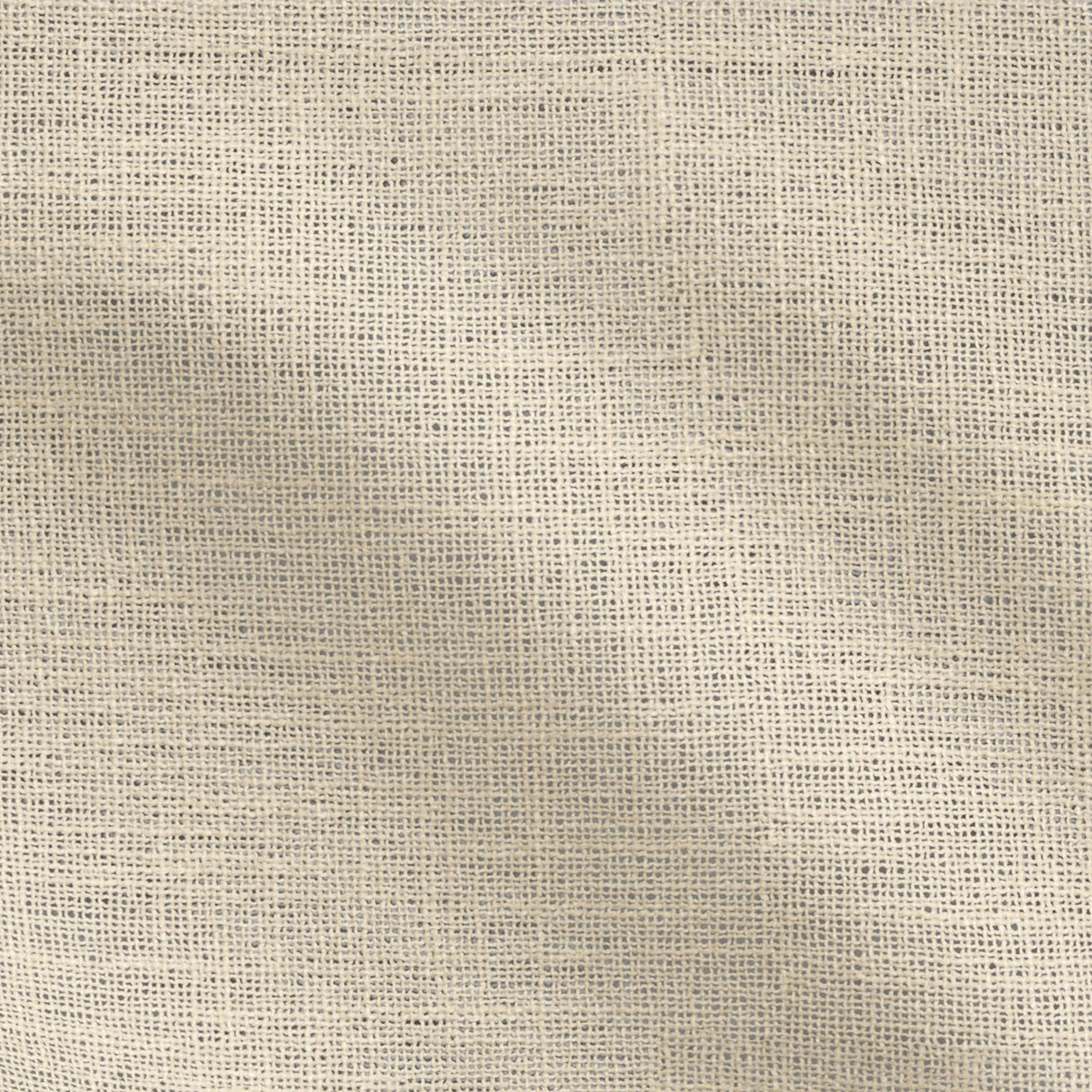14-J9731 CLEO Fabric