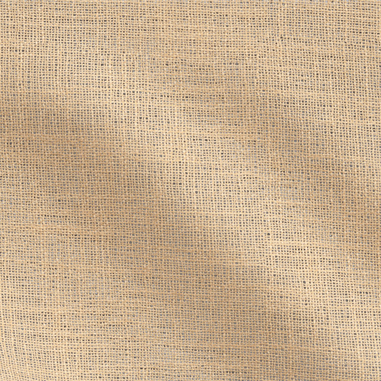 23-J9731 CLEO Fabric