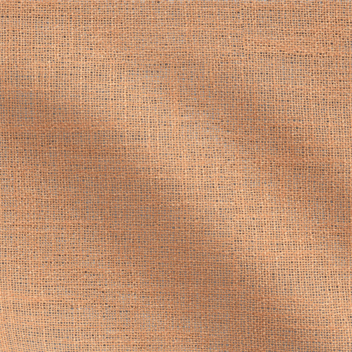 25-J9731 CLEO Fabric