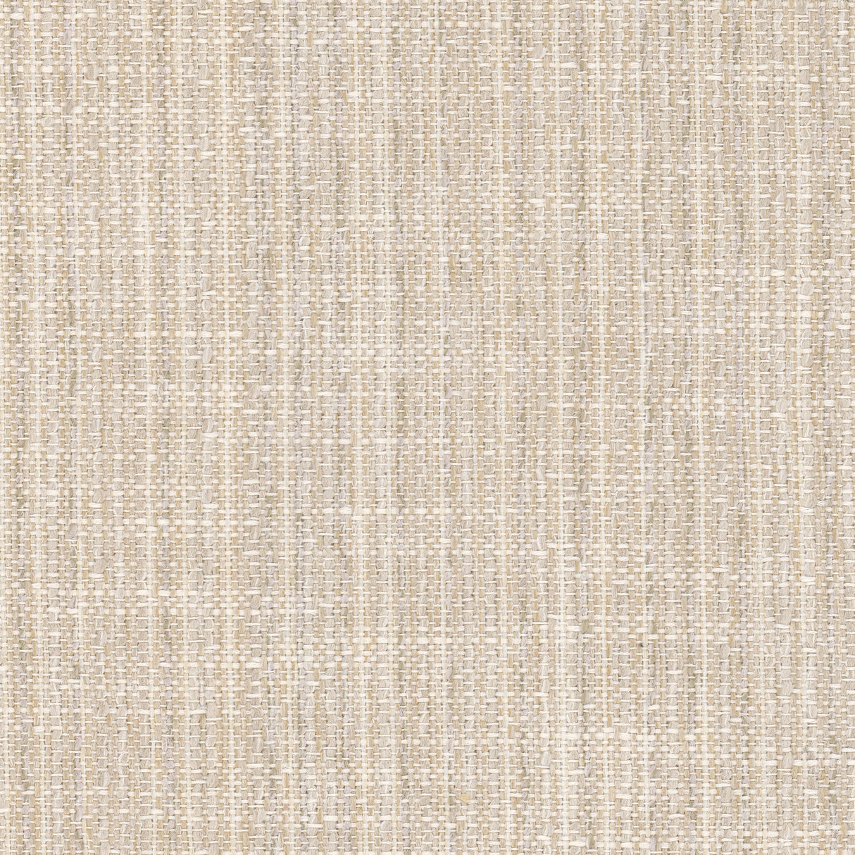 Eade's CLON-1-sample CHAMPAGNE
