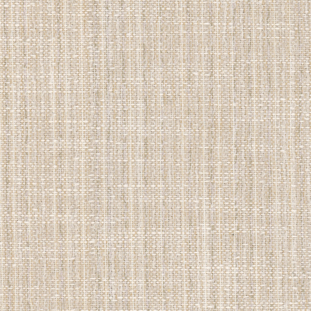 Eade's CLON-1-sample CHAMPAGNE