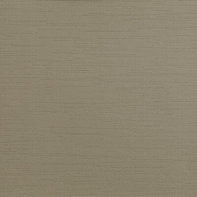 KRAVET CONTRACT CLUTCH.106.0 CLUTCH TORTOISE Fabric - Eade's Wallpaper
