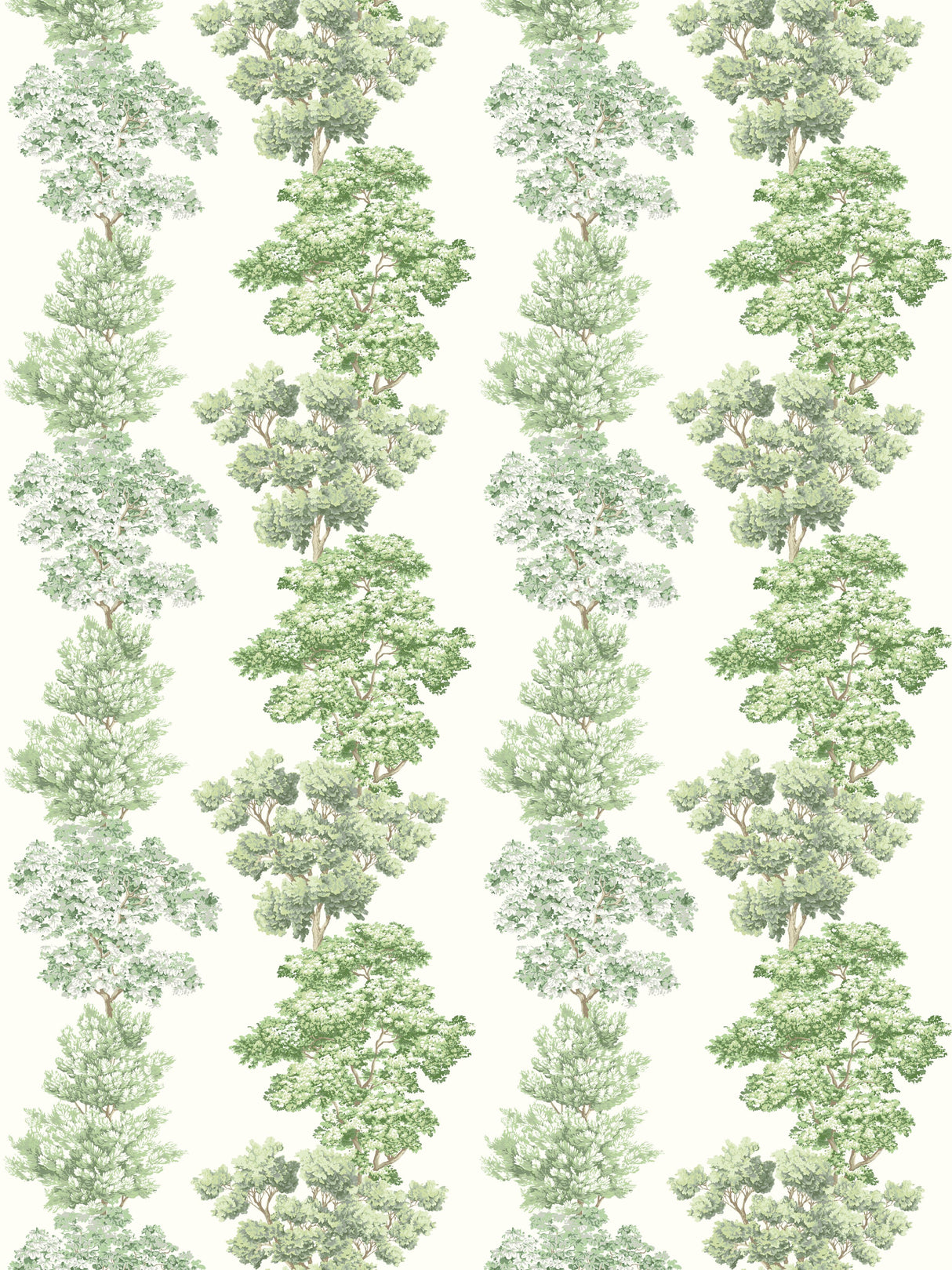 Scalamandre CN 00010071 GREEN CENTRAL PARK Fabric