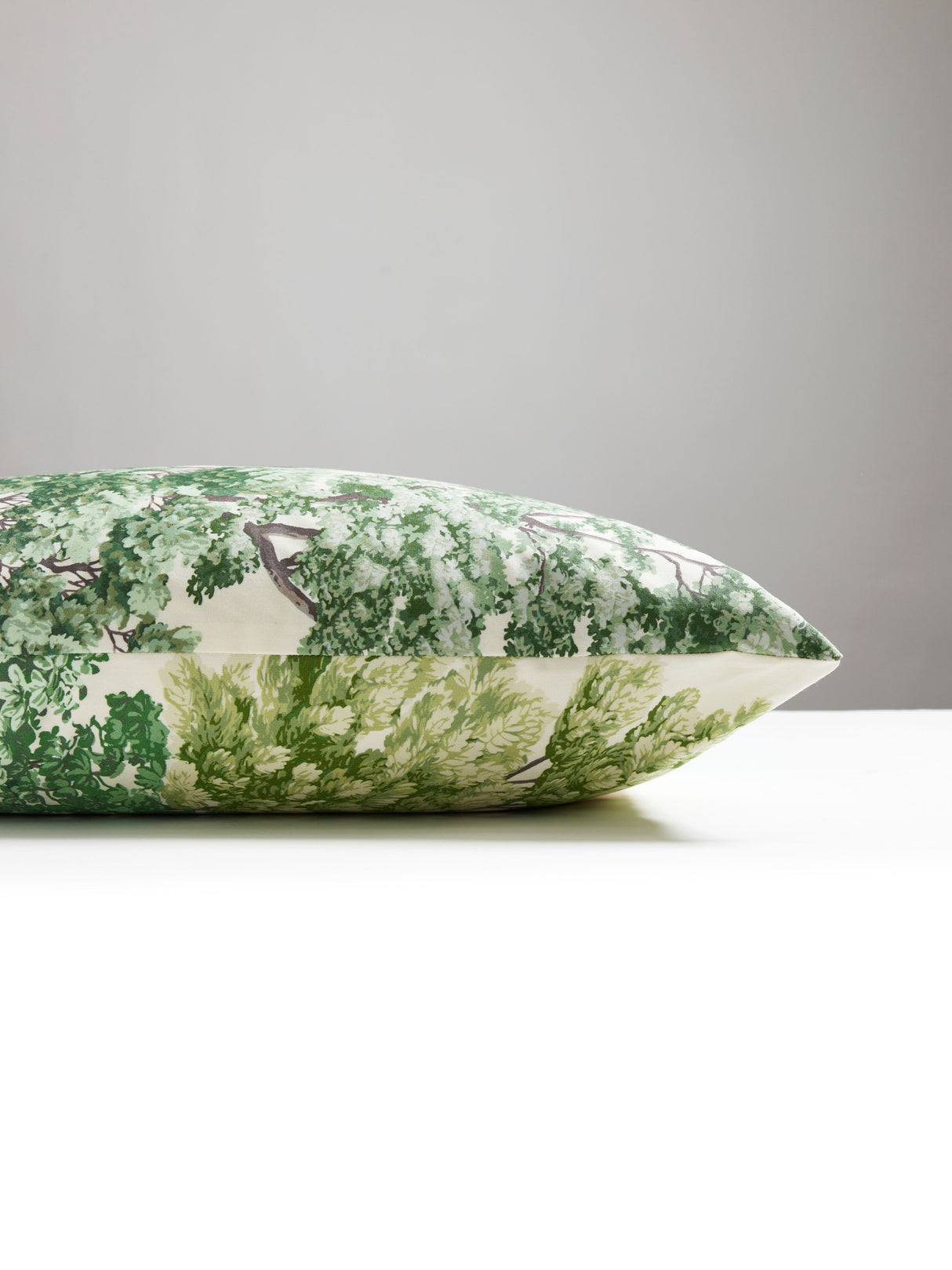 Scalamandre CN 0001SDDK0071 CENTRAL PARK PILLOW - Pillow Col