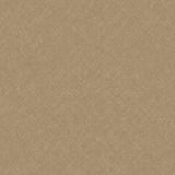Galerie Concept Graphic Concrete Brown Wallpaper CO1105