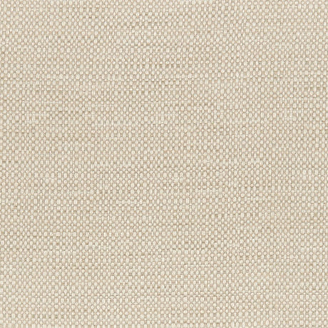 crypton-home 32-J7721 COLTON Fabric - Eade's Wallpaper & Fabric