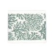 STOUT COLU-3 COLUMBIA TAPE 3 LAGOON Fabric - Eades Wallpaper & Fabric