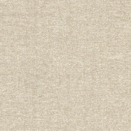 Eade's COMO-1-sample BISQUIT