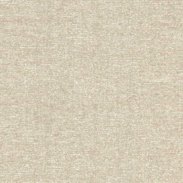 Eade's COMO-1-sample BISQUIT