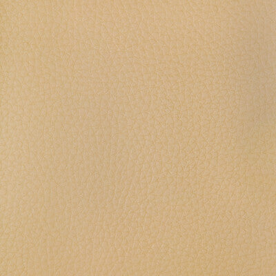 KRAVET DESIGN CONNECT.16.0 KRAVET DESIGN CONNECT-16 Fabric - FAUX LEATHER IV
