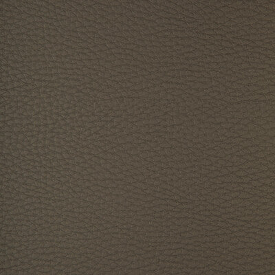 KRAVET DESIGN CONNECT.21.0 KRAVET DESIGN CONNECT-21 Fabric - FAUX LEATHER IV