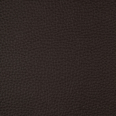KRAVET DESIGN CONNECT.66.0 KRAVET DESIGN CONNECT-66 Fabric - FAUX LEATHER IV