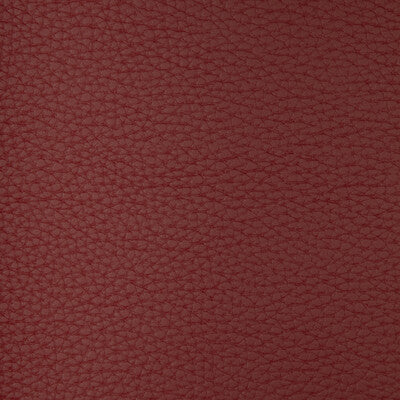 KRAVET DESIGN CONNECT.9.0 KRAVET DESIGN CONNECT-9 Fabric - FAUX LEATHER IV