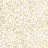 KRAVET BASICS CORALCOAST.161.0 CORALCOAST SAND Fabric - Eade's Wallpaper