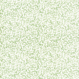KRAVET BASICS CORALCOAST.30.0 CORALCOAST SAGE Fabric - Eade's Wallpaper
