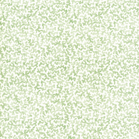 KRAVET BASICS CORALCOAST.30.0 CORALCOAST SAGE Fabric - Eade's Wallpaper