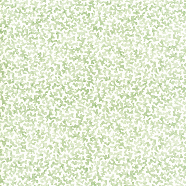 KRAVET BASICS CORALCOAST.30.0 CORALCOAST SAGE Fabric - Eade's Wallpaper