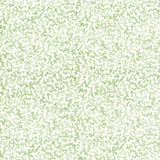 KRAVET BASICS CORALCOAST.30.0 CORALCOAST SAGE Fabric - Eade's Wallpaper