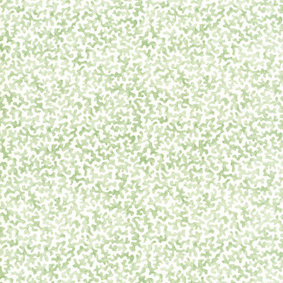 KRAVET BASICS CORALCOAST.30.0 CORALCOAST SAGE Fabric - Eade's Wallpaper