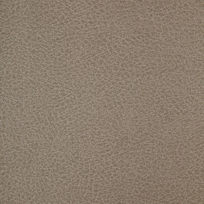 KRAVET DESIGN CRISP.11.0 KRAVET DESIGN CRISP-11 Fabric - FAUX LEATHER IV