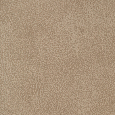 KRAVET DESIGN CRISP.1101.0 KRAVET DESIGN CRISP-1101 Fabric - FAUX LEATHER IV