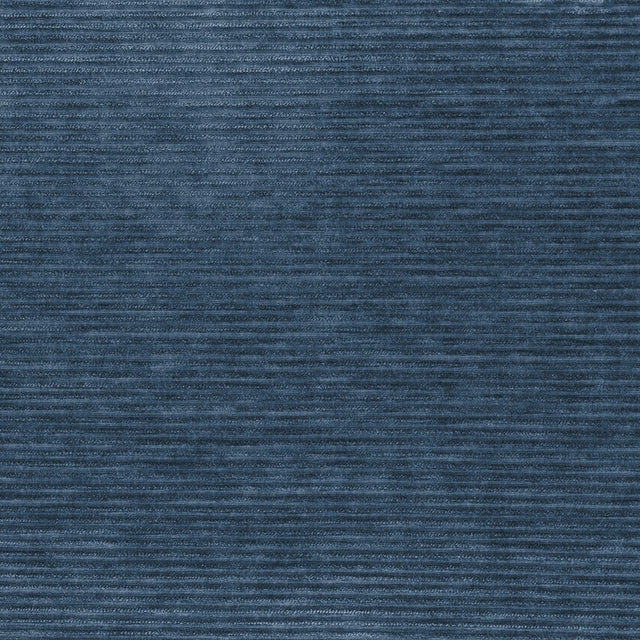 Eade’s Crypton Home MAMBO WHALE WHALE