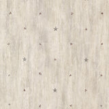 Chesapeake CTR090611 Bryndle Grey Barnstar & Sprigs Wallpaper