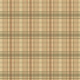 Chesapeake CTR13045 Delaney Green Sunny Plaid Wallpaper