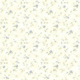 Chesapeake CTR21565 Piper Blue Springtime Bloom Trail Wallpaper