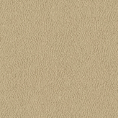 KRAVET DESIGN CURED.106.0 KRAVET DESIGN CURED-106 Fabric - FAUX LEATHER IV