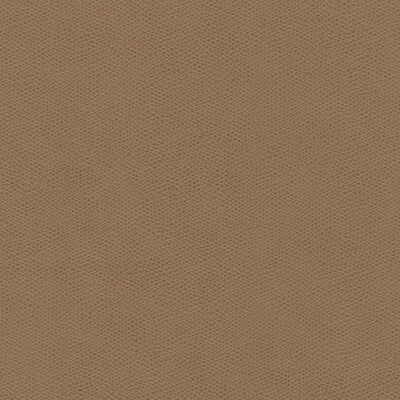 KRAVET DESIGN CURED.11.0 KRAVET DESIGN CURED-11 Fabric - FAUX LEATHER IV