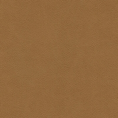 KRAVET DESIGN CURED.166.0 KRAVET DESIGN CURED-166 Fabric - FAUX LEATHER IV