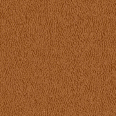 KRAVET DESIGN CURED.6.0 KRAVET DESIGN CURED-6 Fabric - FAUX LEATHER IV