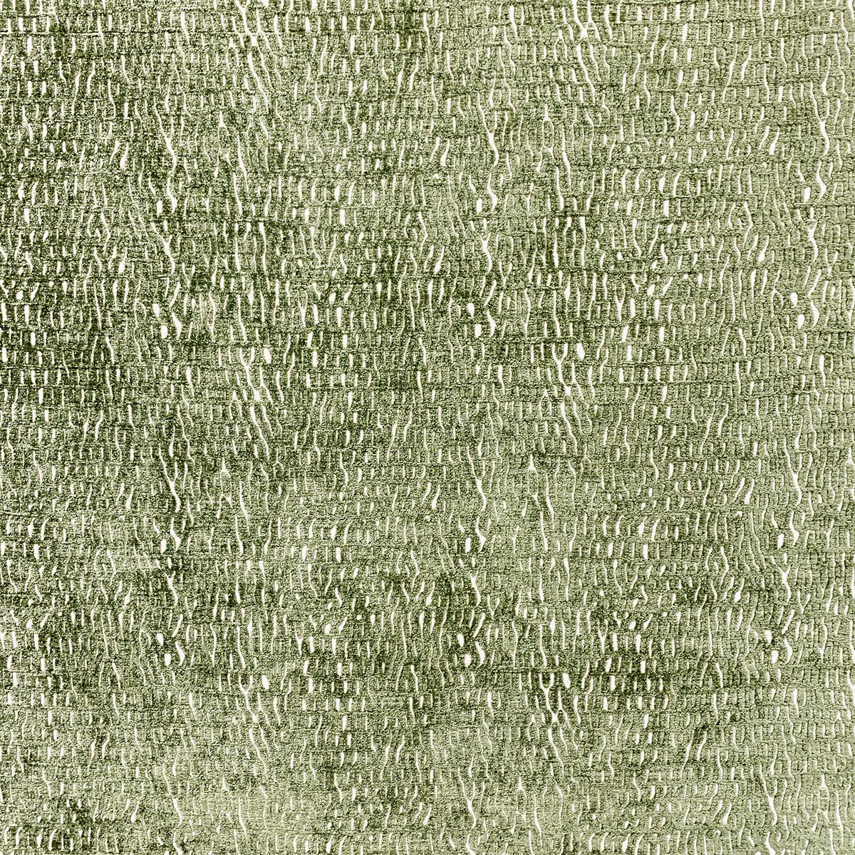 Eade’s CURRENT FERN FERN