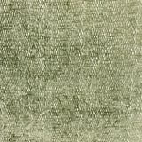 Eade’s CURRENT FERN FERN