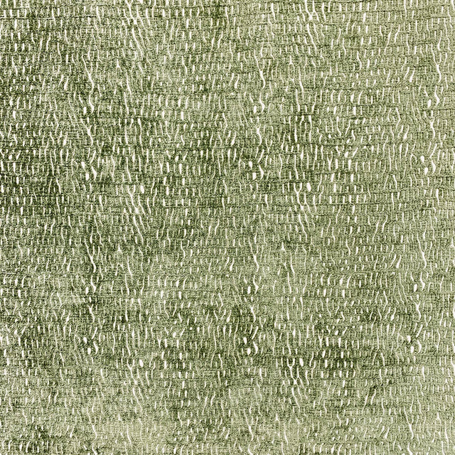 Eade’s CURRENT FERN FERN