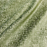 Eade’s CURRENT FERN FERN